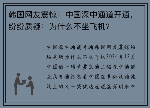 韩国网友震惊：中国深中通道开通，纷纷质疑：为什么不坐飞机？